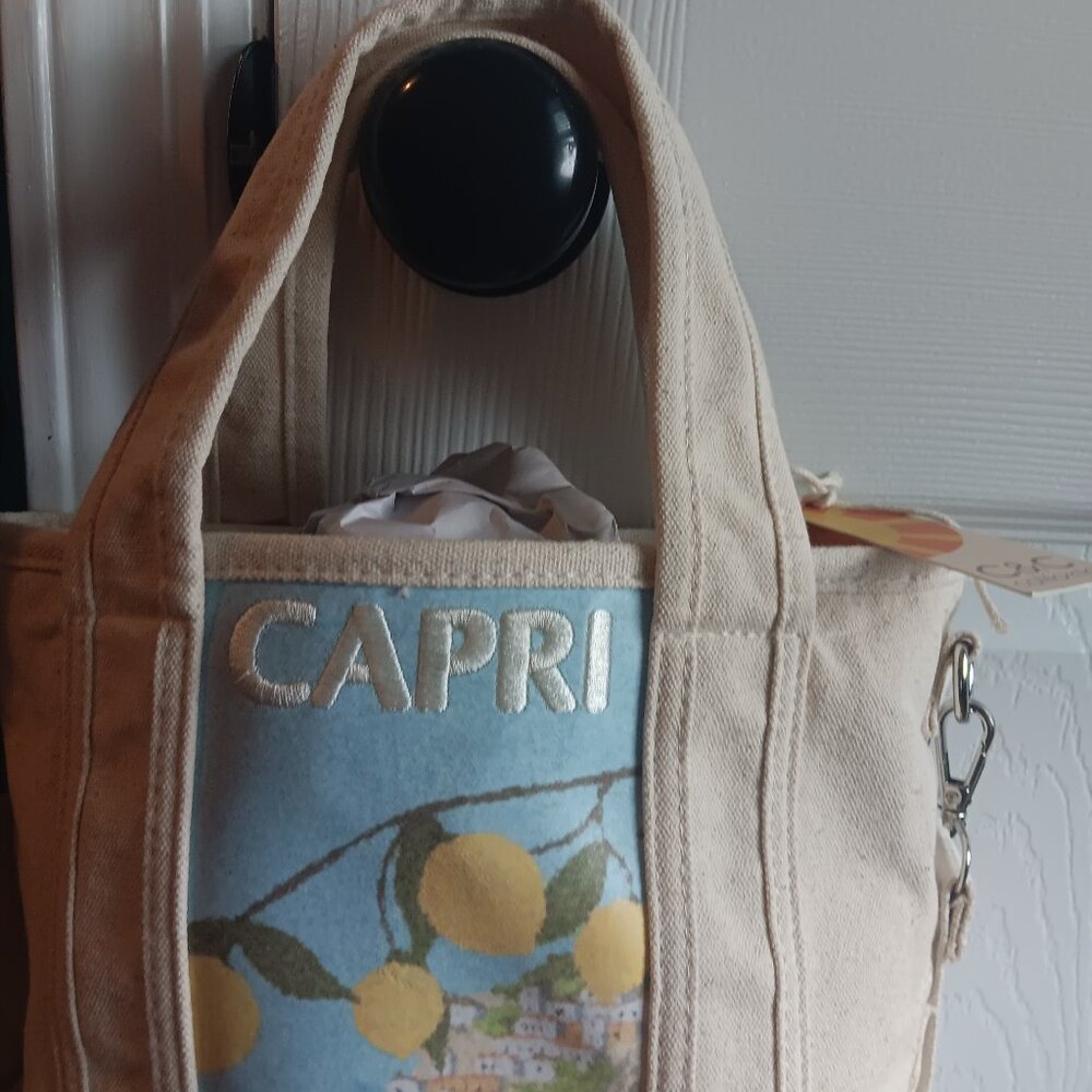 NEW C&C California Capri Tote crossbody bag